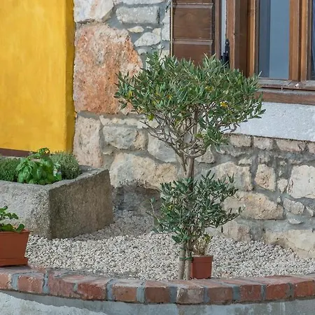 Mandula *